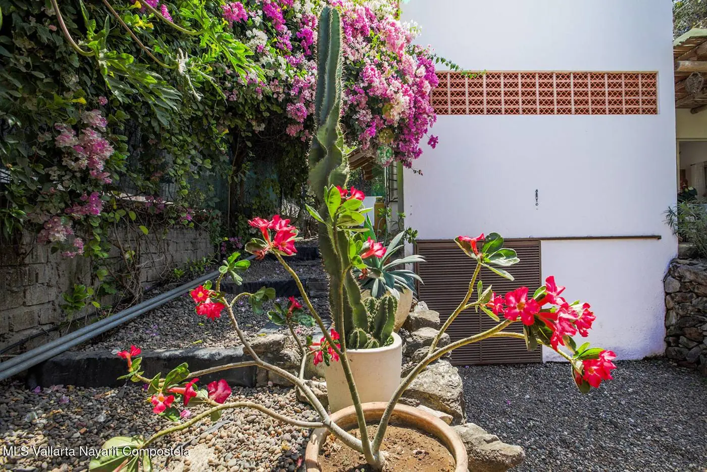 House in San Pancho, photo 16 of 16