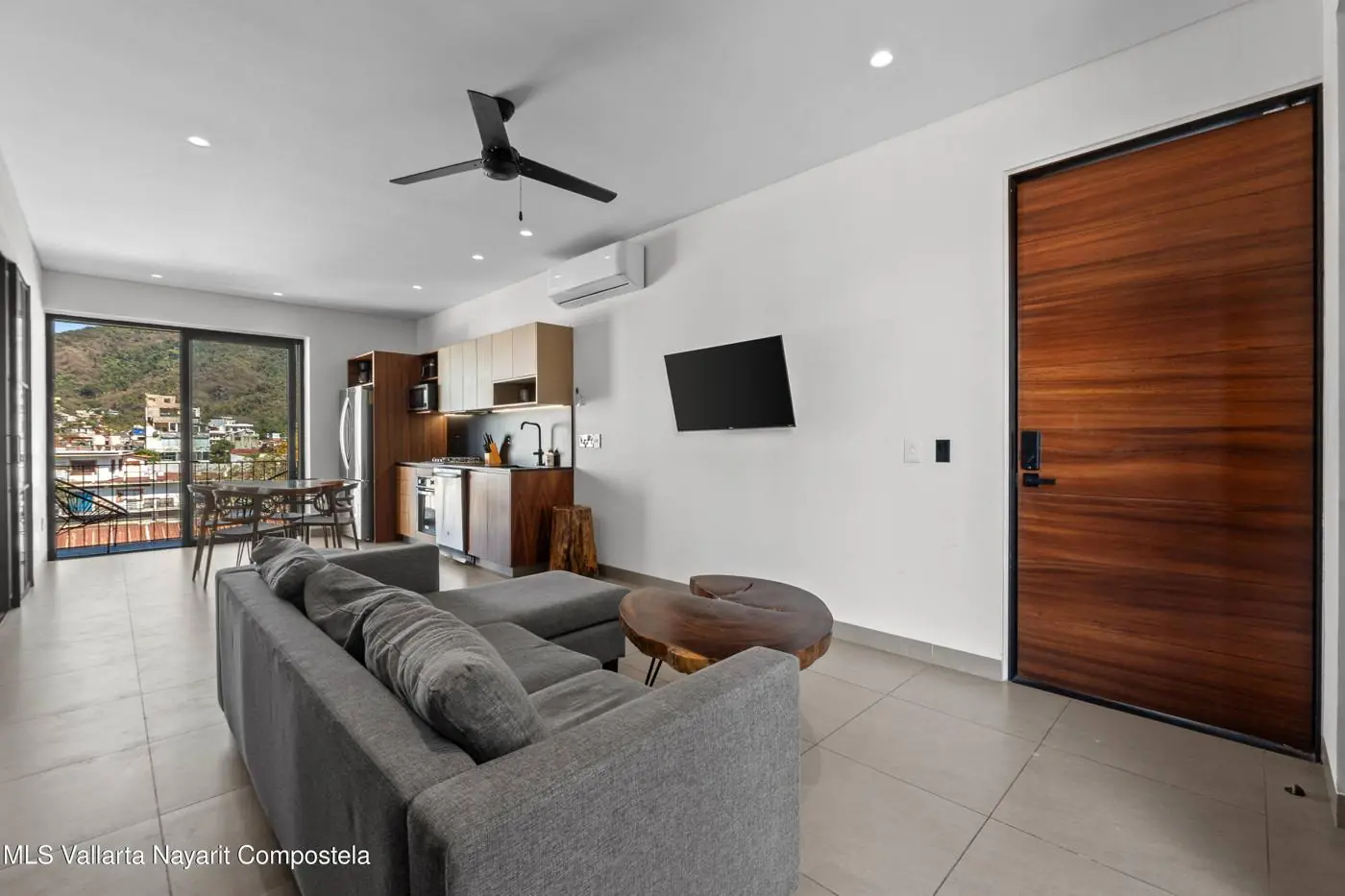Living and dining area with wooden door