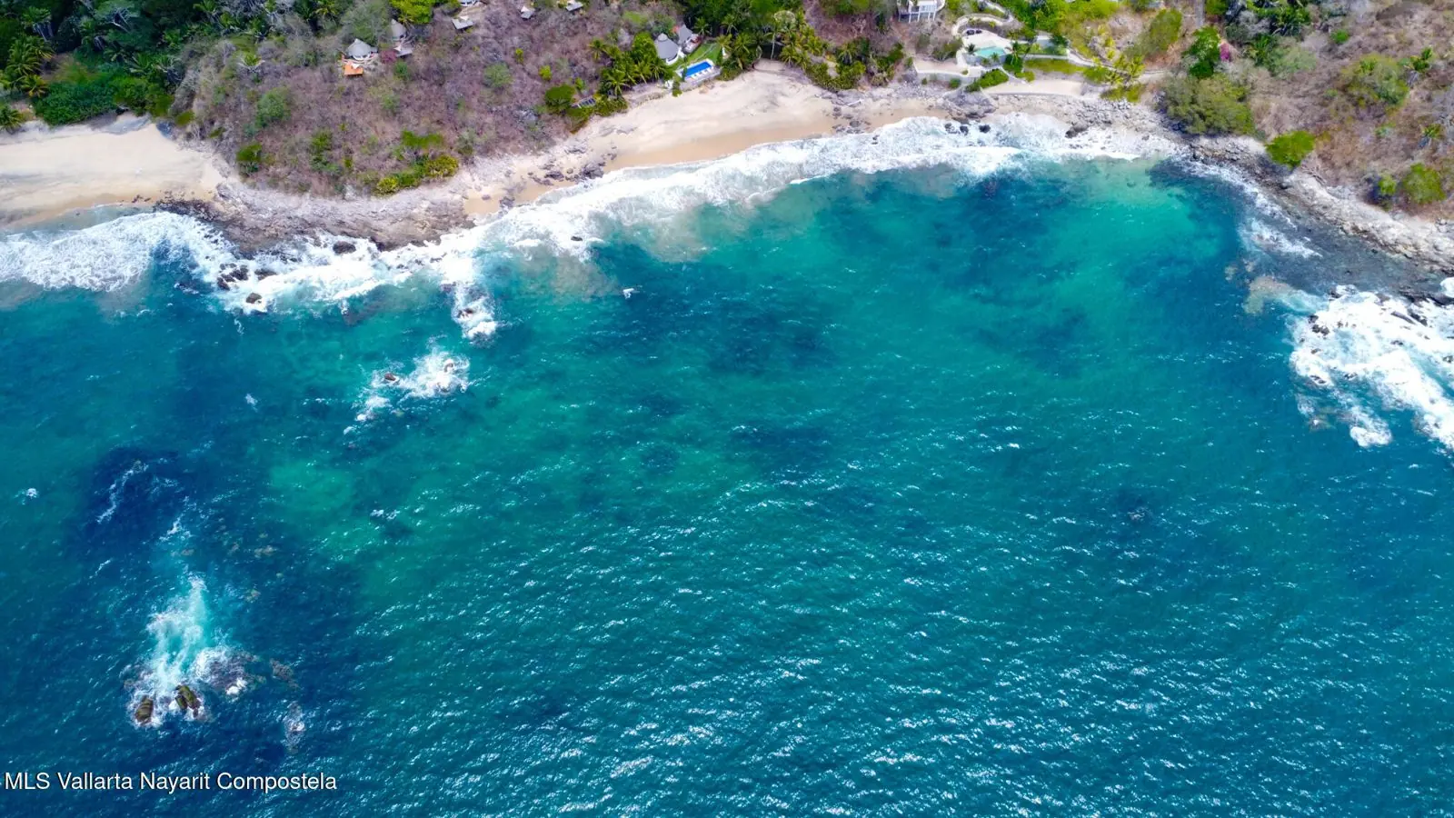 Palms and low vegetation, in the photos of the lot south of Sayulita.