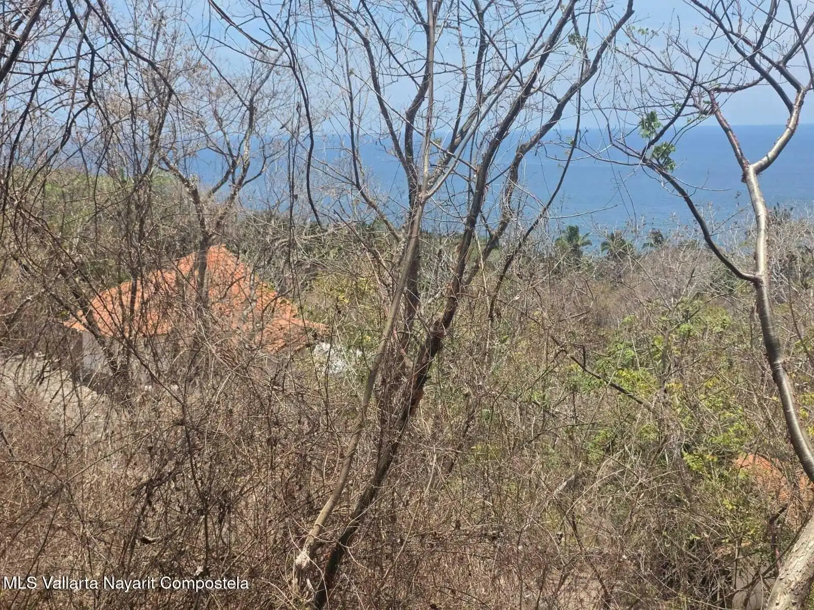 Dirt road through palms and dry brush, in the photos of the lot south of Sayulita.