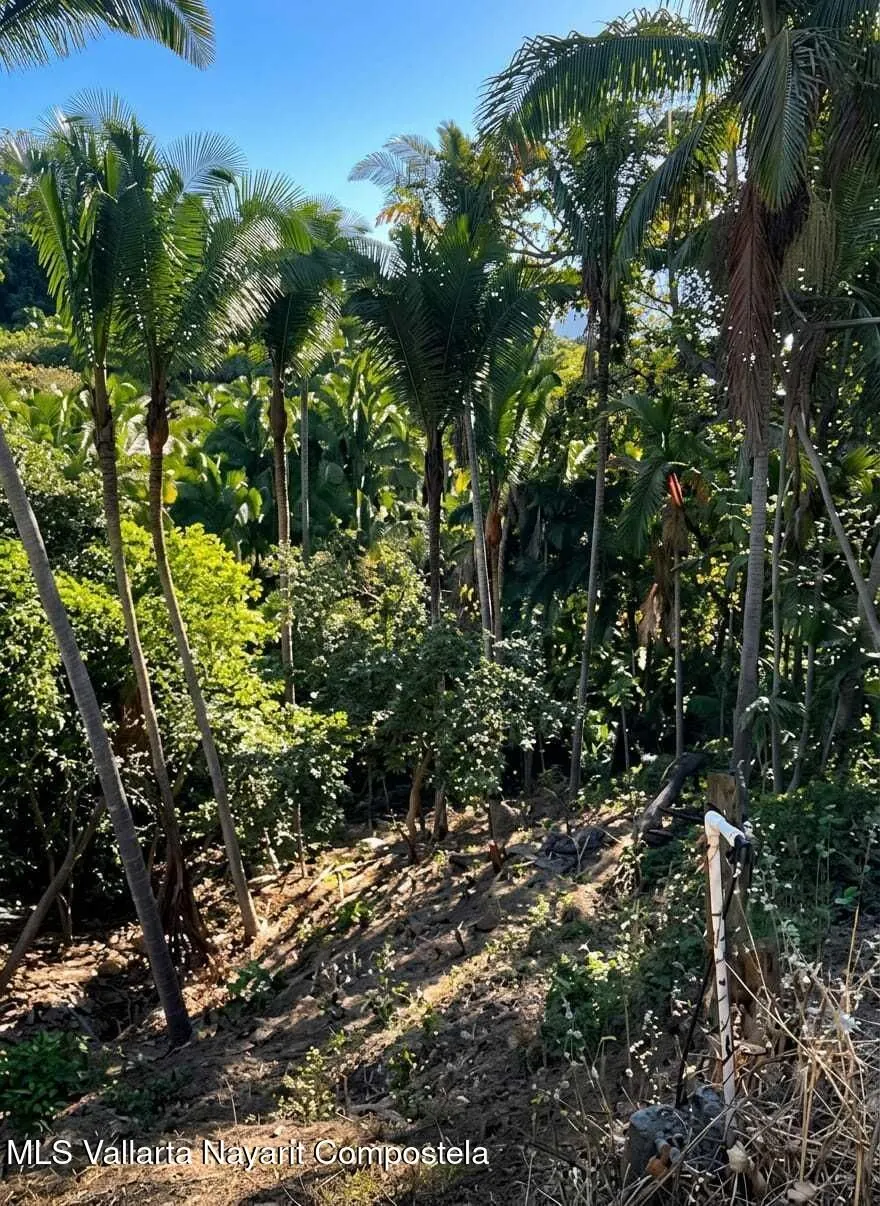 Aerial rendering of a house on a vegetated lot, Selva Azul lot 8. Not a built house.