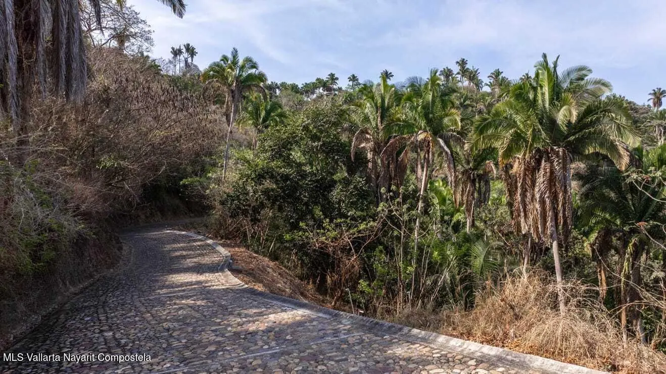 Site plan of Selva Azul lot 8